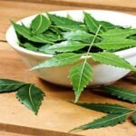 Neem Health Benefits