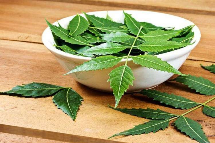 Neem Health Benefits